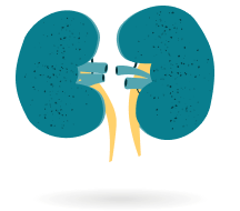 Kidney conditions