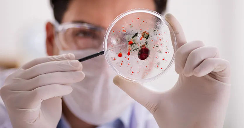 Lab technician inspecting particles in a petri dish