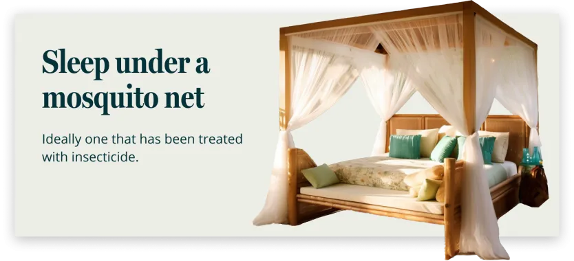 Sleep under a mosquito net