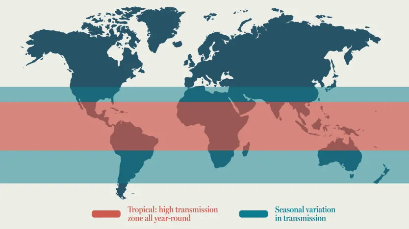 Map of the world showing high and seasonal transmission zones