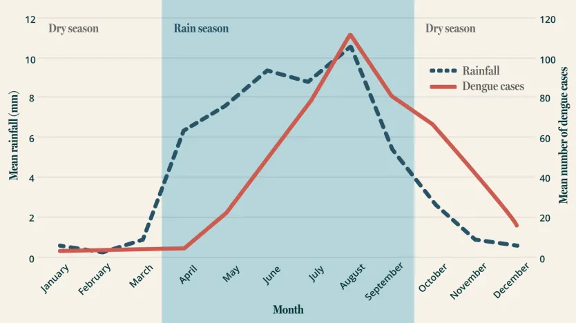 Graph showing the relationship between mean rainfall and mean number of dengue cases