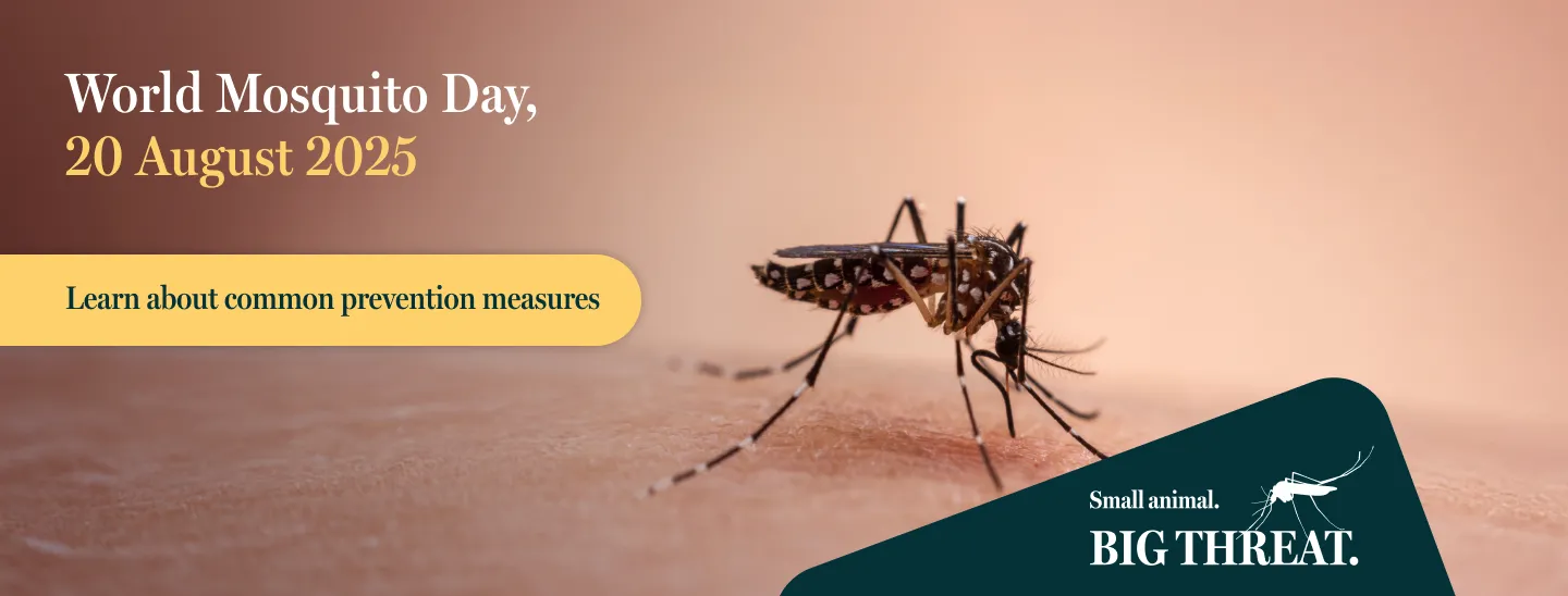 World Mosquito Day Banner