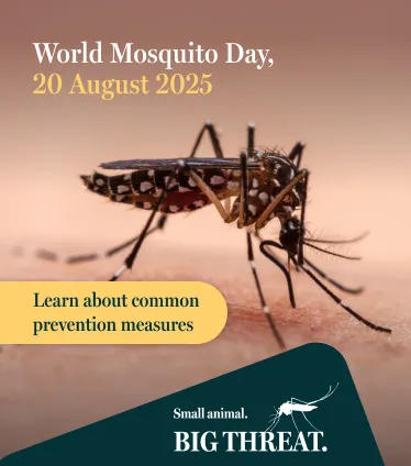 World Mosquito Day Banner