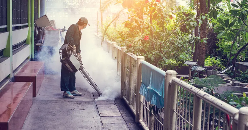 Man fumigating outdoor area