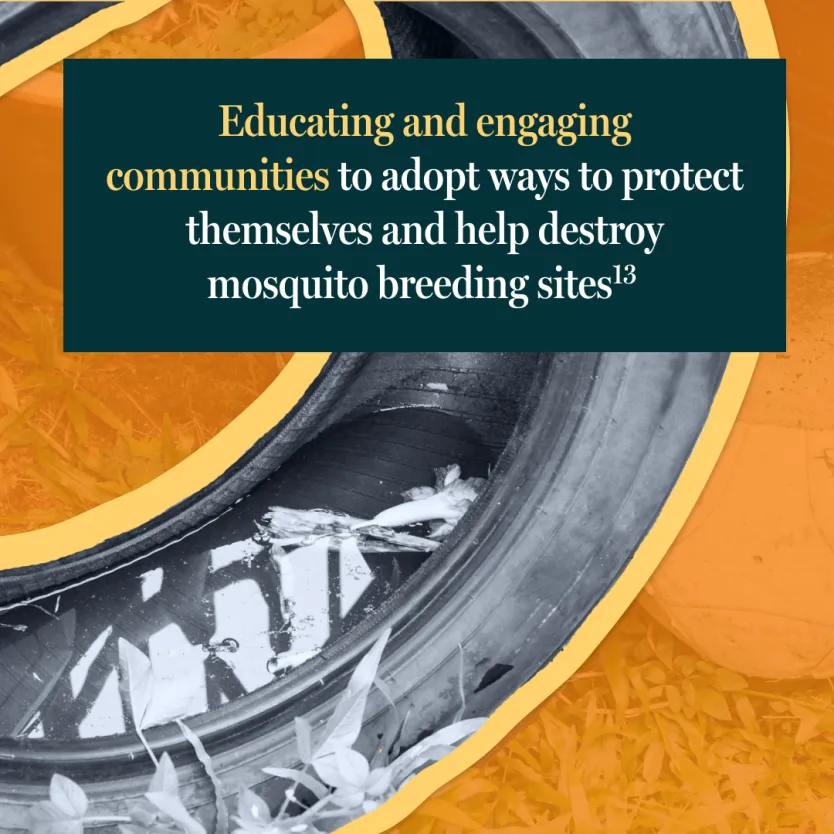 Educating and engaging communities to adopt ways to protect themselves and destroy mosquito breeding sites