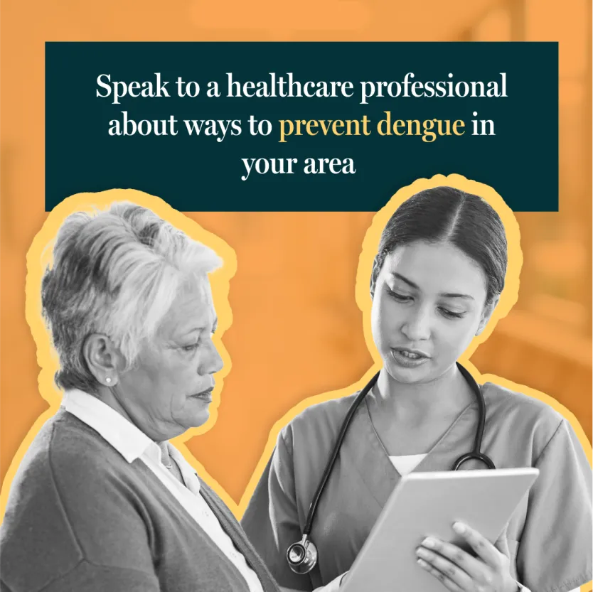 Speak to a trusted doctor about ways to prevent dengue in your area