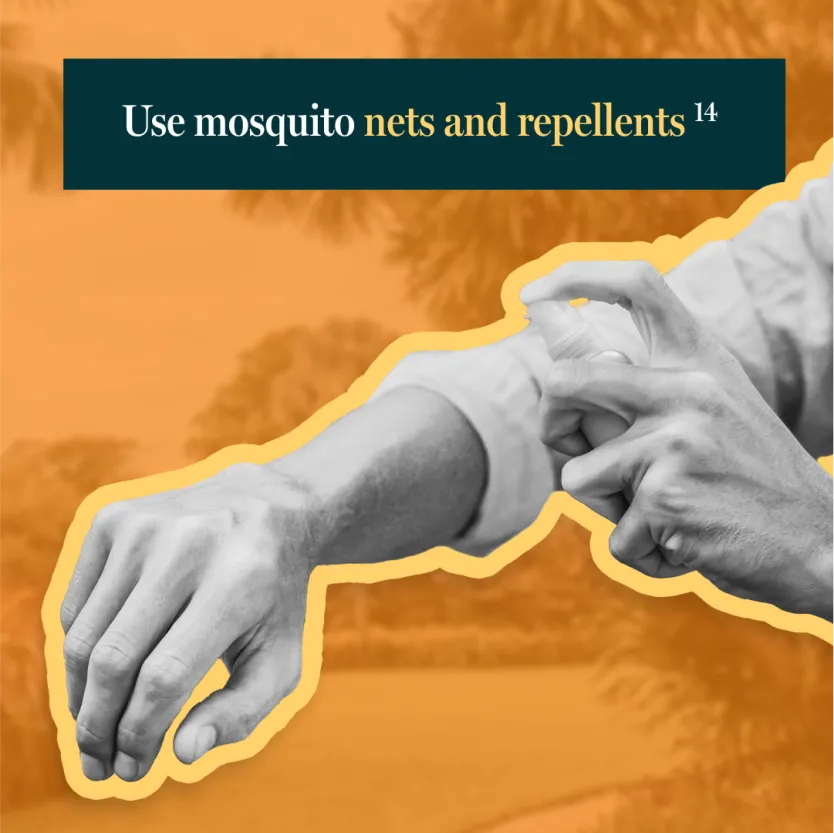 Use mosquito nets and repellents