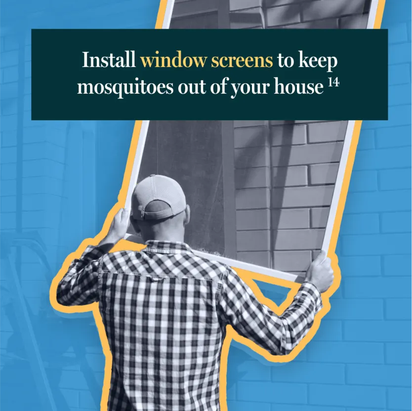 Install window screens to keep mosquitoes out of your house