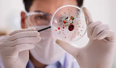 Dengue fever prevention strategies; identifying causes of dengue and future dengue treatment