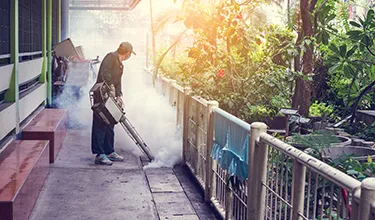 Man fumigating outdoor area