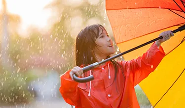 Dengue fever is a year-round risk but outbreaks more common in the rainy season