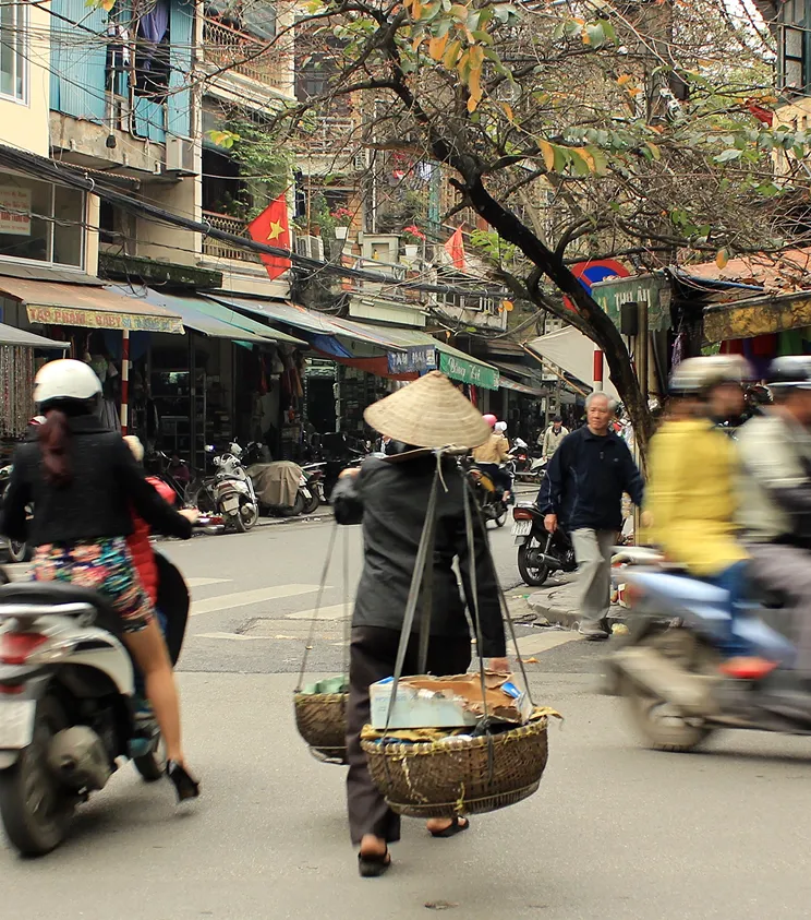 Dengue outbreaks in Vietnam’s changing landscape