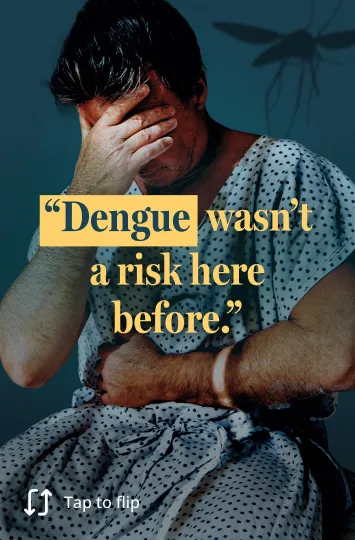 Image showing dengue risk expanding into new regions previously considered low risk. 