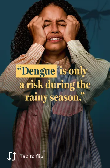 Image showing dengue risk existing beyond a single season. 